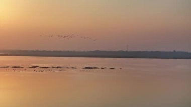 Kuşlarla dolu güzel gün batımı manzarası 