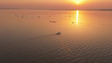 Kuşlarla dolu güzel gün batımı manzarası 