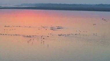 Kuşların uçtuğu güzel gün batımı manzarası