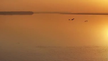 Kuşların uçtuğu güzel gün batımı manzarası