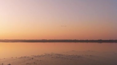 Gün batımının güzel nehri manzarasında kuş sürüsü 