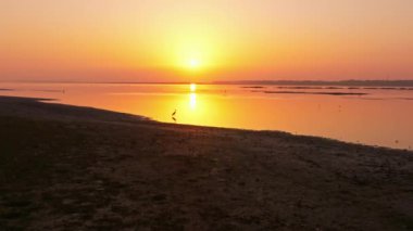 Gün batımının güzel nehri manzarasında kuş sürüsü 