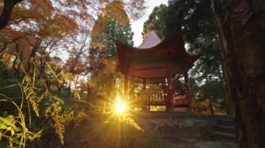 Parkta gün batımının güzel manzarası