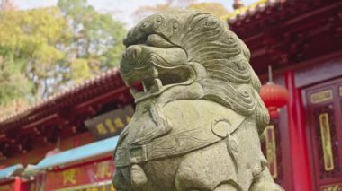 Çin aslanı heykel manzaralı 