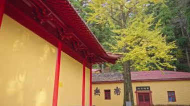 Çin 'in Longtan şehrindeki Çin tapınağı.