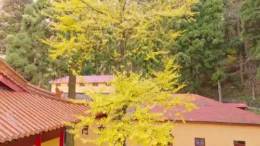 Yasak şehrin tapınağı, Pekin, Çin 