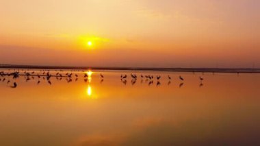 Gün batımında çekilmiş güzel bir göl manzarası, vahşi leyleklerle birlikte..