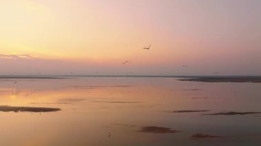 Gün batımında uçan kuşlarla birlikte bir göl manzarası..