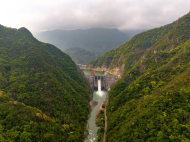 Dağlı yeşil ormanın havadan görünüşü 
