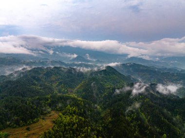 Dağlı yeşil ormanın havadan görünüşü 