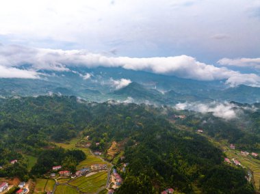Dağlı yeşil ormanın havadan görünüşü 