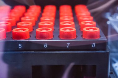 Modern bir fabrikada su dolu kırmızı plastik şişeler.