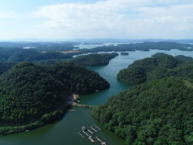 Yeşil dağ ormanlarında nehir