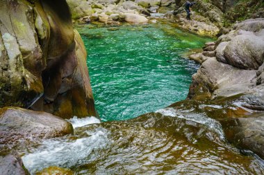 Yeşil dağ ormanlarında nehir