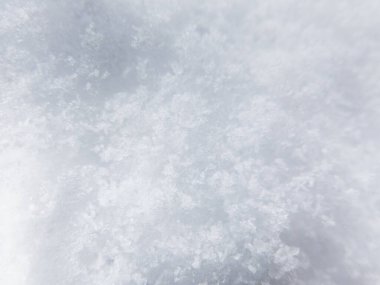 Taze karın arkaplanı