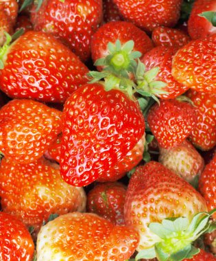 taze çilek - tam kare 