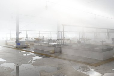 Yuba üretimi (kurutulmuş tofu derisi) Çin mutfağı 