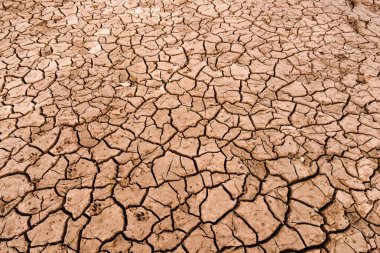 Kurumuş, çatlak toprak.