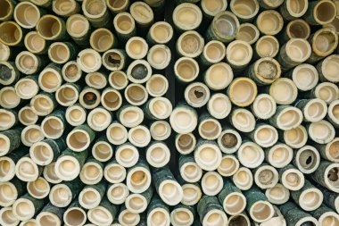 Bambu kökü dokusu arkaplanı