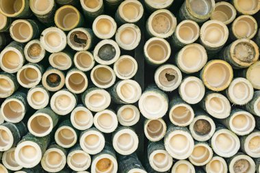 Bambu kökü dokusu arkaplanı