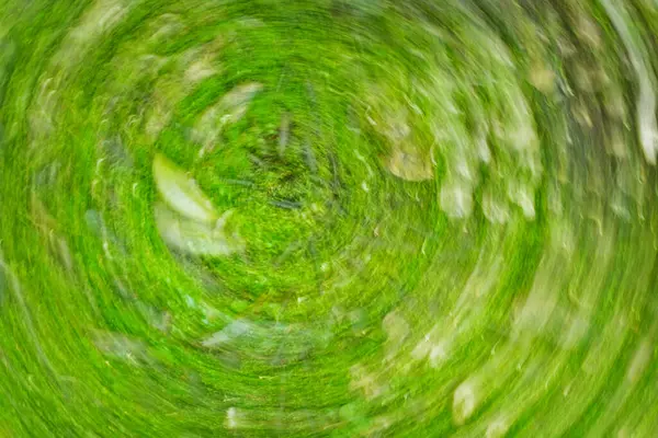 Yeşil yaprakların soyut arkaplanı