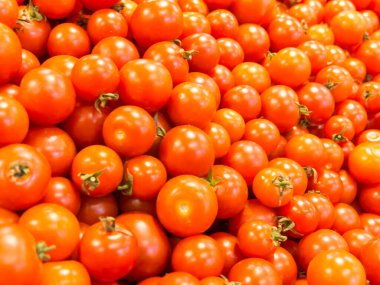 Markette taze domatesler, yakın plan. 