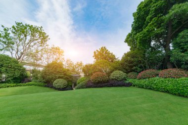 Parktaki güzel bahçe.