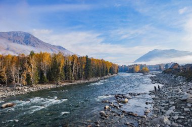 Sonbaharda nehir ve ormanla güzel bir manzara.