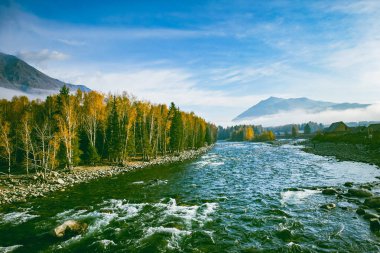 Sonbaharda nehir ve ormanla güzel bir manzara.