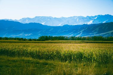 Dağların güzel manzarası, doğa manzarası.