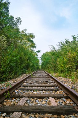 Ormandaki demiryolu, doğa geçmişi.. 