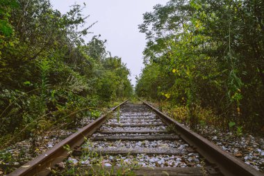 Ormandaki demiryolu, doğa geçmişi.. 