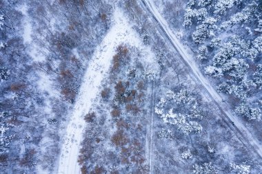 Beishan Park, Jilin, Çin 'in kar manzarası