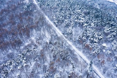 Beishan Park, Jilin, Çin 'in kar manzarası