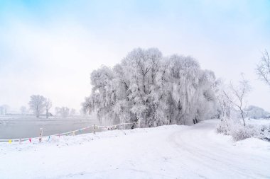 Jilin, Kuzeydoğu Çin 'deki Wuxi Adası Sahne Bölgesi