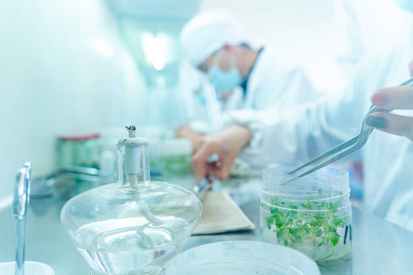 The technicians of the biological cultivation platform are studying plants