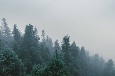 Güzel dağ manzara arka plan