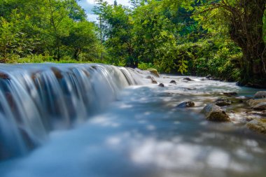 Ormandaki yeşil ağaçlı güzel şelale