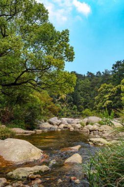 Ormanda güzel bir şelale