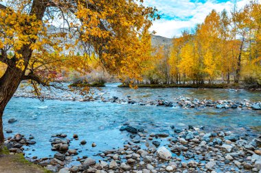Sonbahar manzarasının manzarası 