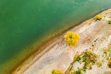 Ormandaki ve ağaçlardaki nehrin havadan görünüşü