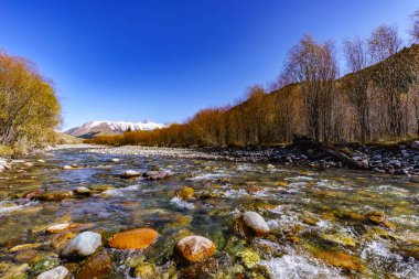 Dağların güzel manzarası, doğa manzarası.