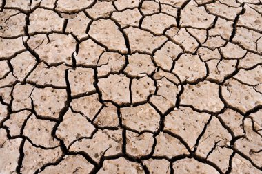 cracked clay ground into the dry season clipart