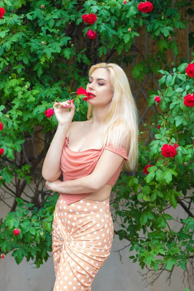 美丽的女人 金发碧眼 身穿粉色衣服 在花园里摆出绽放的玫瑰 穿浅粉上衣和裙子 — 图库照片