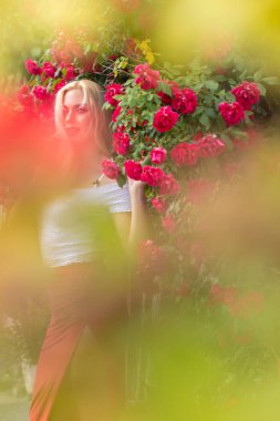 Sarı saçlı, beyaz saçlı, uzun pembe etekli, çiçeklenmiş bahçede kırmızı güllerle poz veren güzel bir kadın.