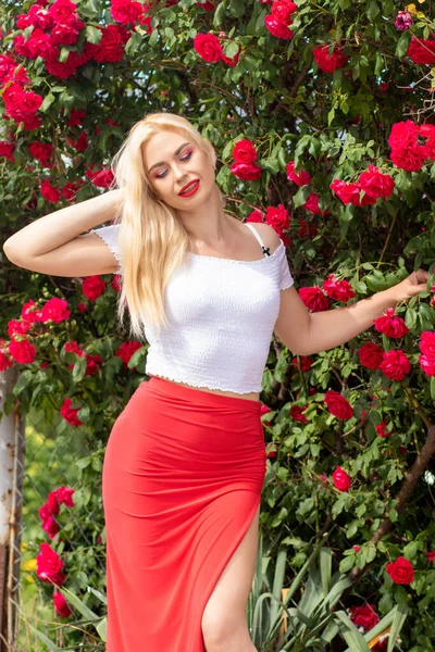 美丽的女人 金发碧眼 白发苍苍 长长的粉红裙子 站在盛开的花园里 缀着红玫瑰 — 图库照片