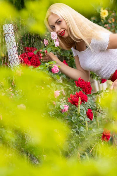 Beautiful Woman Blonde Hair White Top Long Pink Skirt Posing — Stock Photo, Image