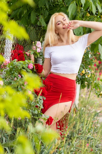 美丽的女人 金发碧眼 白发苍苍 长长的粉红裙子 站在盛开的花园里 缀着红玫瑰 — 图库照片