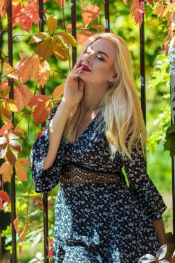 Sonbahar güneşli portresi. Renkli sarmaşıklı bir çitin yanında genç sarışın bir kadın. kısa siyah çiçekli uzun kollu elbise