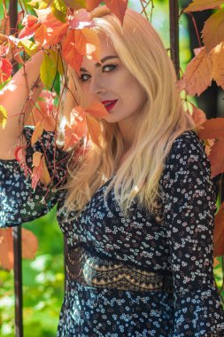 Sonbahar güneşli portresi. Renkli sarmaşıklı bir çitin yanında genç sarışın bir kadın. kısa siyah çiçekli uzun kollu elbise